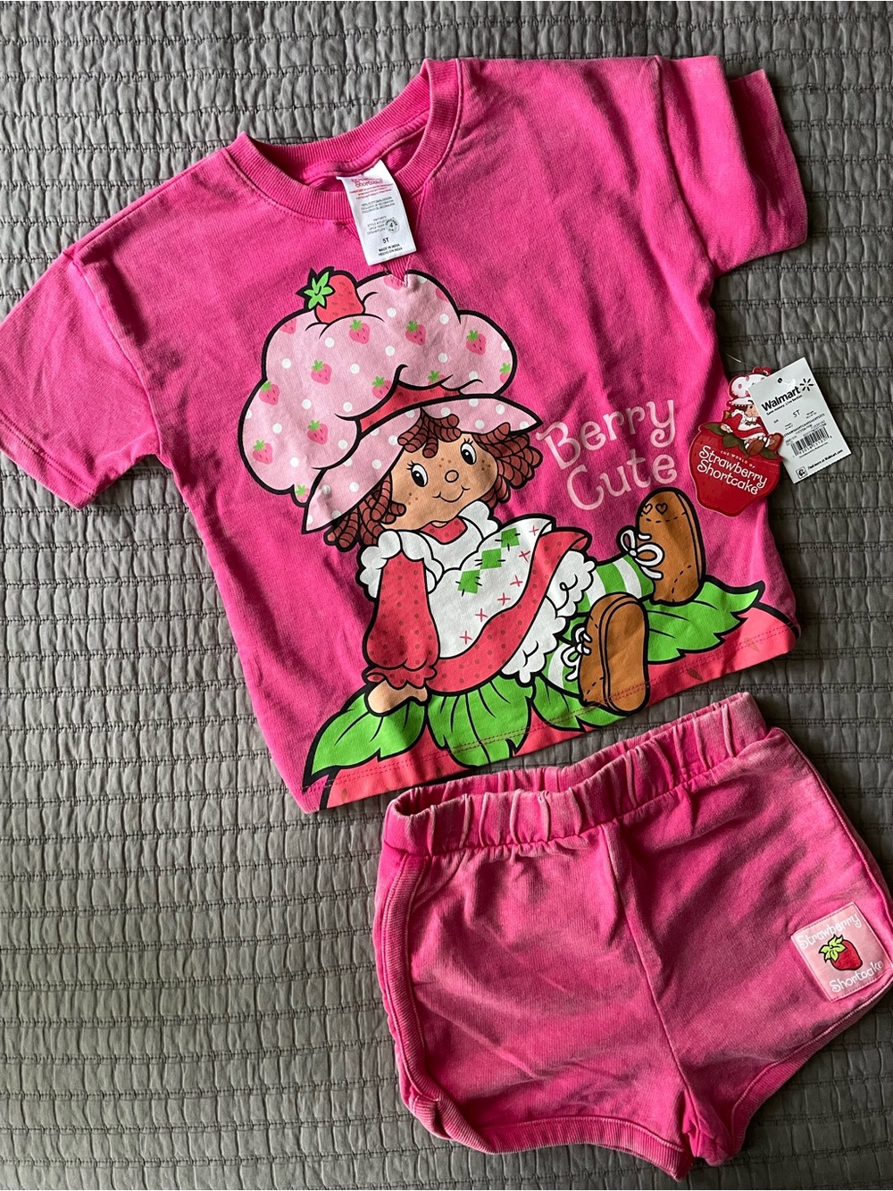 NWT Kids Pink Strawberry Shortcake 'Berry Cute' Top & Shorta Set - size 5T